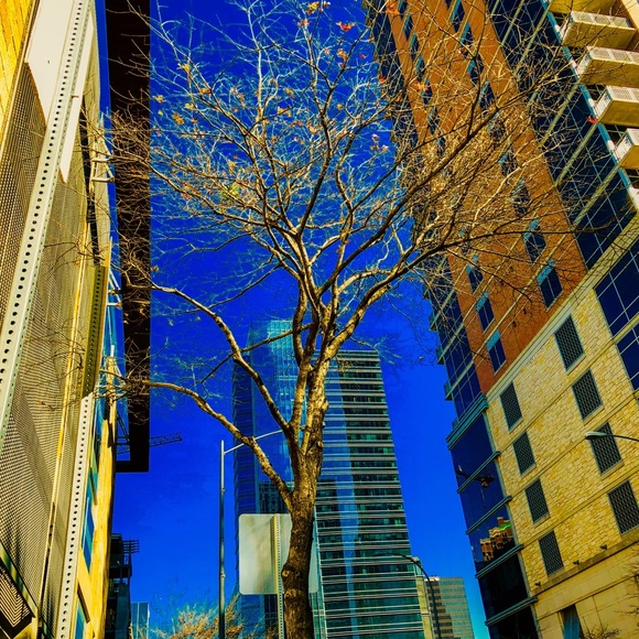 Meet your Posher, Haley - Picture 16 of 16